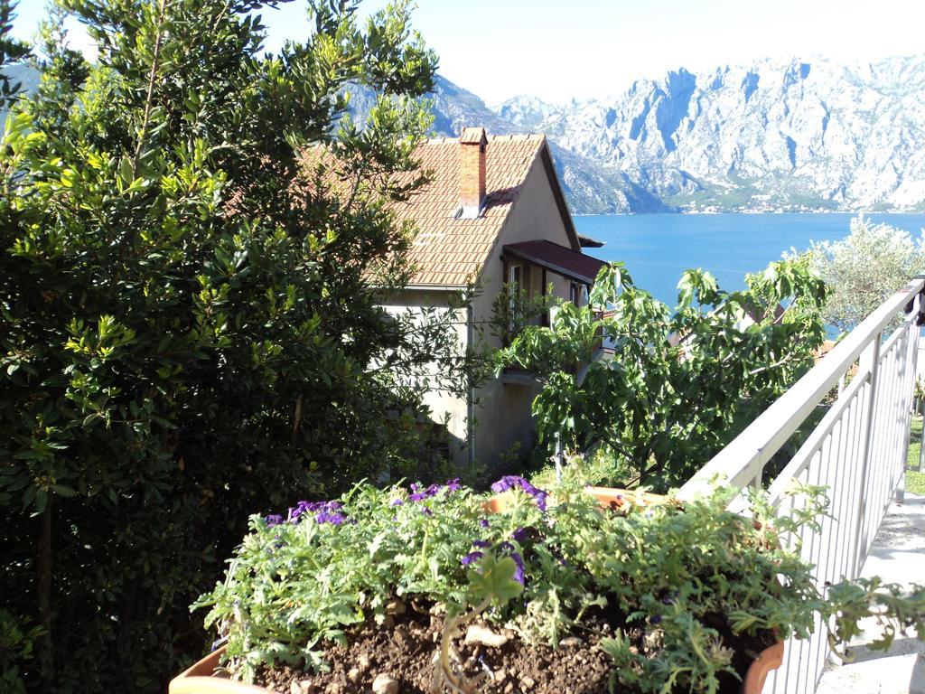 Guest House Pajovic Kotor Exterior photo